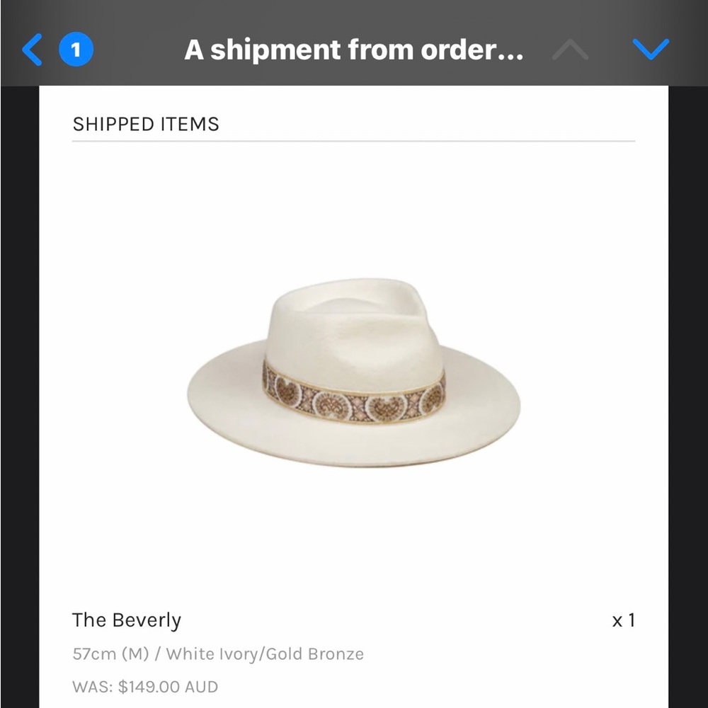 Beverly lack of color hat - brand new never worn